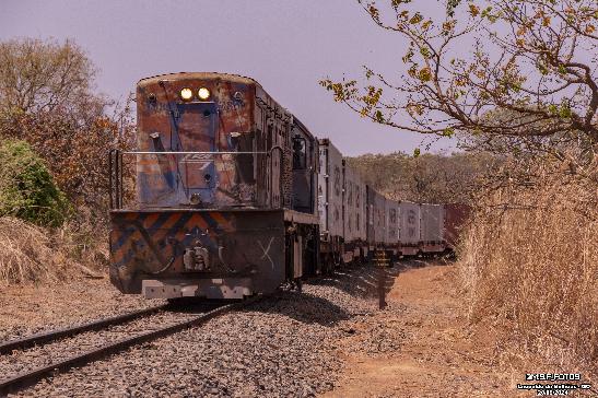 Foto Trem - FCA GE U20C 3806 em Leopoldo de Bulhões - GO