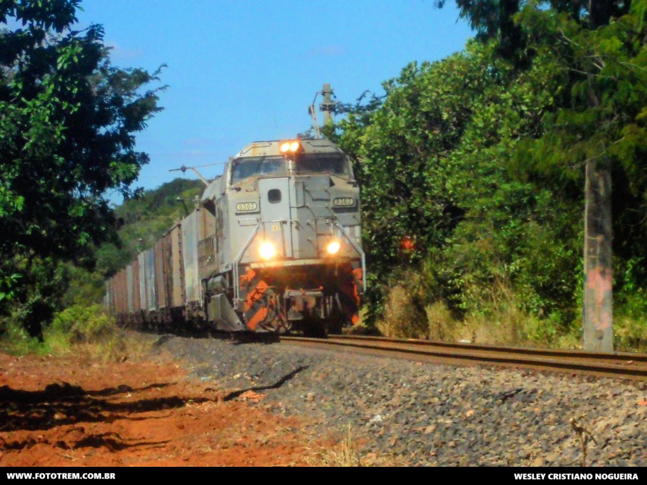 Foto Trem - VLI EMD SD70Ace-BB 8362 em Casa Branca - SP