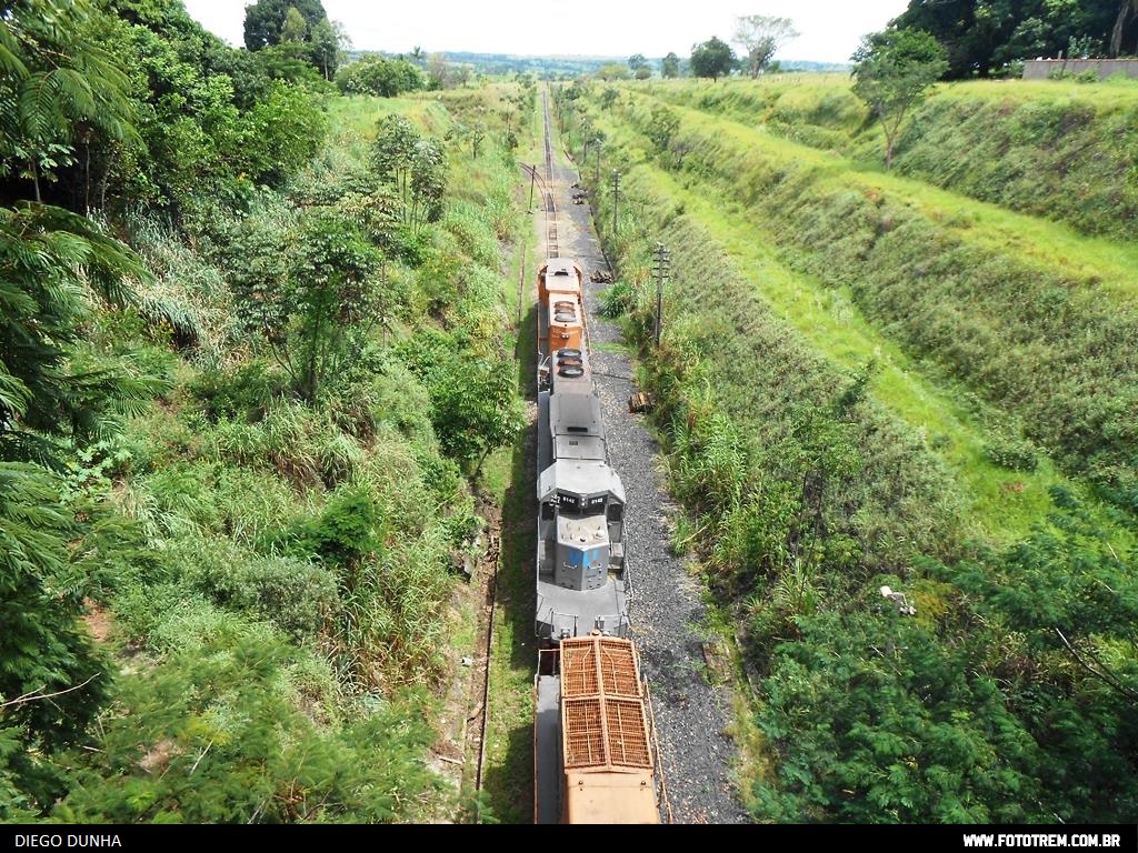 Foto Trem - VLI EMD SD40-2 BB 8142 em Goiandira - GO