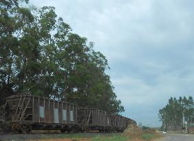 Foto Trem - VLI VAGÃO - VAGÃO 00 em Catalão - GO