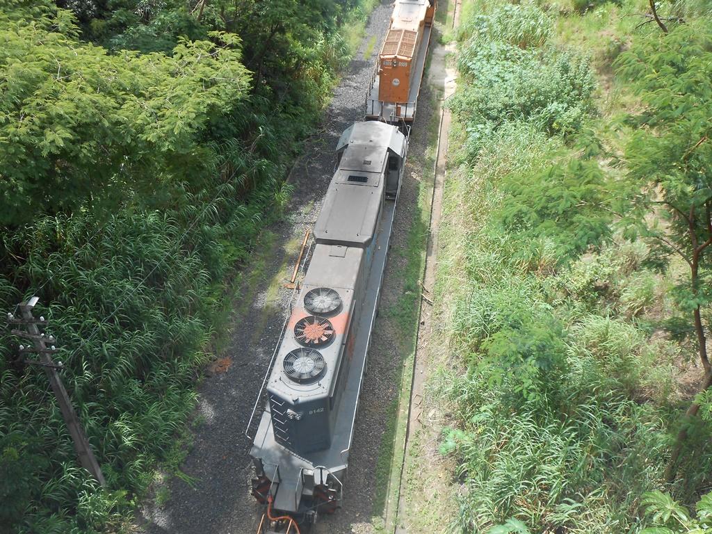 VLI EMD SD40-2 BB 8142 em Goiandira - GO